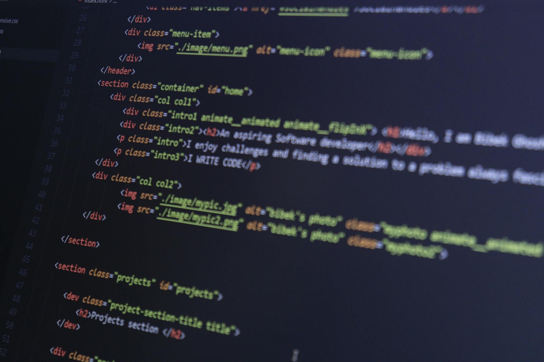 Web Tabanlı Özel Yazılım